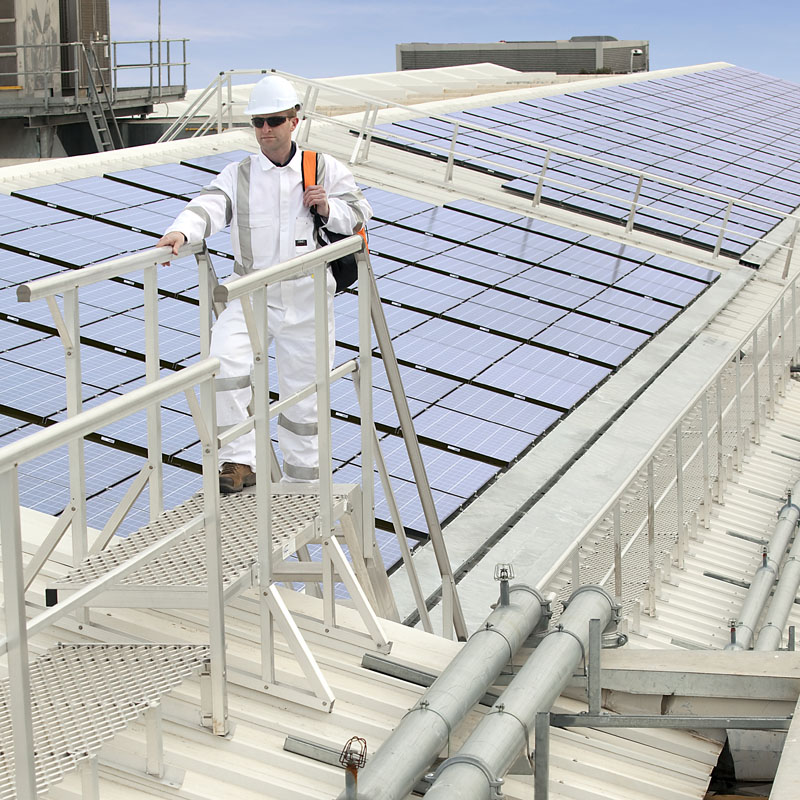 roof handrail system